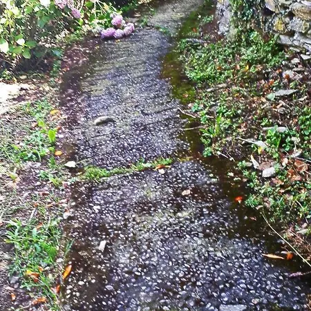 L'antico Frantoio Tatil Evi Rapallo