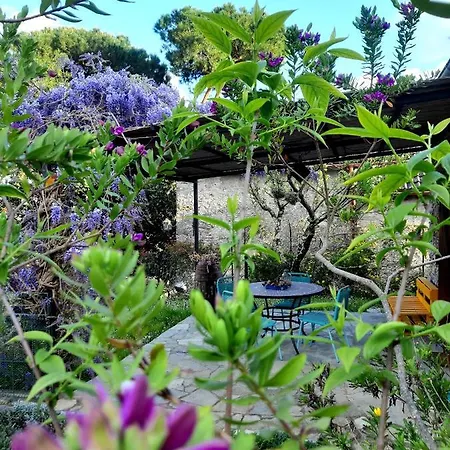 L'antico Frantoio * Ραπάλο