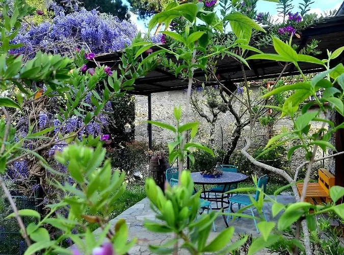 L'antico Frantoio * ラッパロ