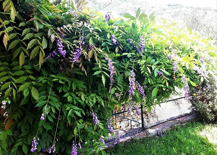 L'antico Frantoio Holiday home Rapallo