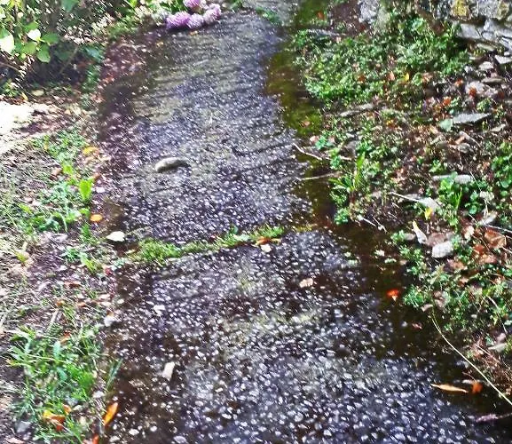 L'antico Frantoio 別荘 ラッパロ